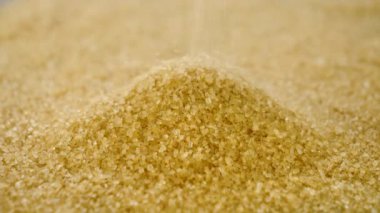 Şeker kamışına yaklaşın. Ağır çekim.