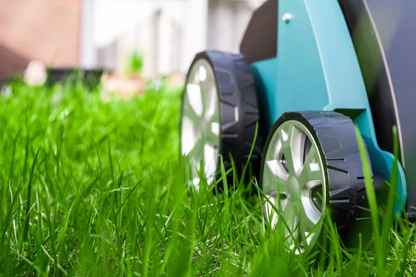 Escarificador Sobre Hierba Verde Trabaja Jardín Escarificador — Foto de Stock