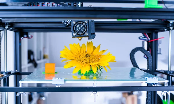 Impresión 3D moderna. 3d mecanismo de la impresora yelement diseño de trabajo del dispositivo durante los procesos . —  Fotos de Stock