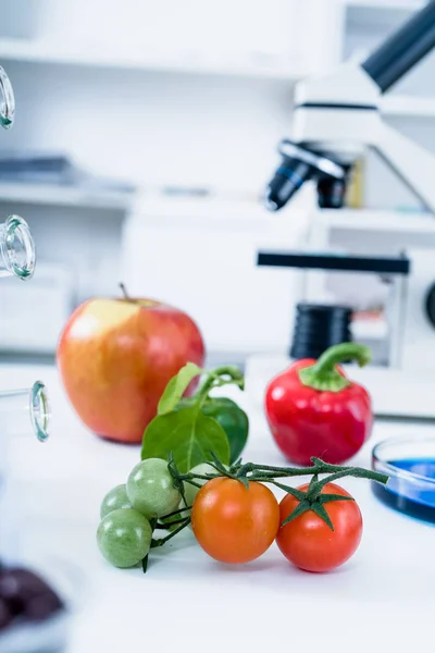 Chemical Laboratory of the Food supply . Food in laboratory, dna modify .GMO Genetically modified food in lab — Stock Photo, Image