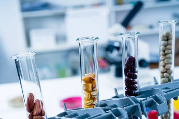 Kemiska laboratoriet för livsmedelsförsörjningen. Mat i laboratorium, dna ändra . — Stockfoto