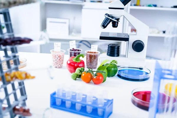 Az élelmiszer-ellátás kémiai laboratóriuma. Élelmiszer a laboratóriumban, DNS-módosítás .GMO Genetikailag módosított élelmiszer a laborban . — Stock Fotó