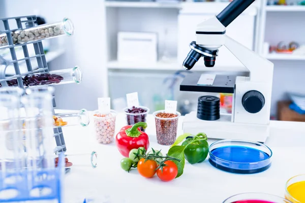 Laboratorio Químico de la Alimentación. Alimentos en laboratorio, ADN modificar .GMO Alimentos genéticamente modificados en laboratorio —  Fotos de Stock