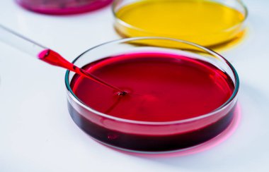 renkli sıvı ve petri yemekler damla ile pipet.