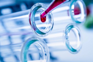 Sıvı birkaç test tüpleri loncası Züccaciye birine ekleyerek pipet..