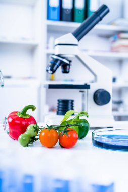 Yiyecek Tedarik Kimya Laboratuvarı. Laboratuvarda yiyecek, DNA modifiye edildi. Laboratuvarda genetik olarak değiştirilmiş gıdalar.
