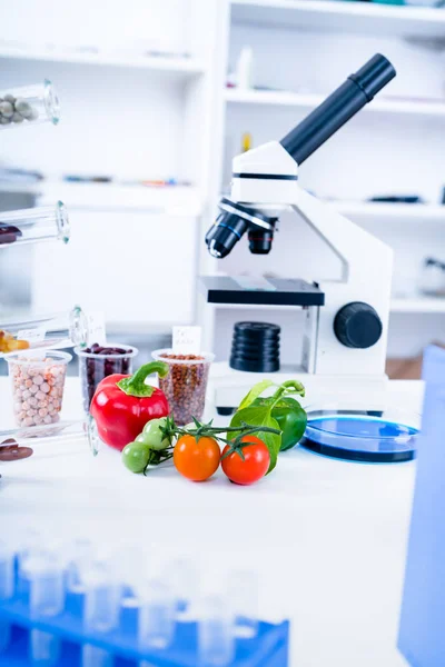 Laboratorio Químico de la Alimentación. Alimentos en laboratorio, ADN modificar .GMO Alimentos genéticamente modificados en laboratorio —  Fotos de Stock