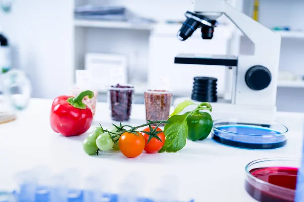 Chemisch laboratorium van de voedselvoorziening. Voedsel in het laboratorium, DNA wijzigen .GMO Genetisch gemodificeerd voedsel in het lab . — Stockfoto