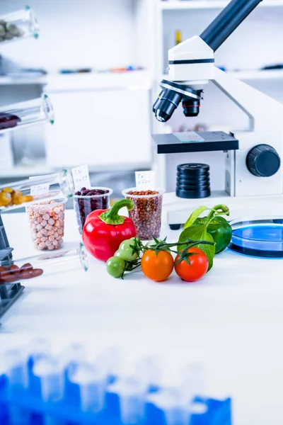 Laboratorio Químico de la Alimentación. Alimentos en laboratorio, ADN modificar .GMO Alimentos genéticamente modificados en laboratorio . —  Fotos de Stock