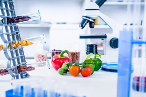 Laboratorio Químico de la Alimentación. Alimentos en laboratorio, ADN modificar .GMO Alimentos genéticamente modificados en laboratorio —  Fotos de Stock