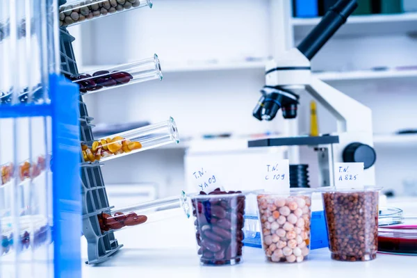 Laboratorio Químico Alimentación Alimentos Laboratorio Adn Modificar Gmo Alimentos Genéticamente — Foto de Stock