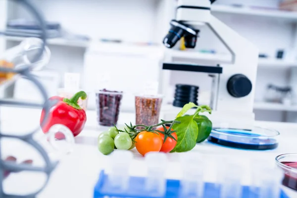 Laboratorio Químico de la Alimentación. Alimentos en laboratorio, ADN modificar .GMO Alimentos genéticamente modificados en laboratorio —  Fotos de Stock