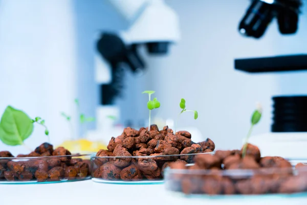 Modernt laboratorium.Grönsaker i hydrokultur tech plockar. — Stockfoto