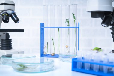 Bitki ıslahı yeni yöntemler keşfetmek ekoloji Laboratuvarı