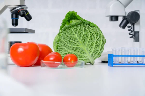 Laboratorio Chimico Della Alimentazione Alimenti Laboratorio Dna Modificare Ogm Alimenti — Foto Stock