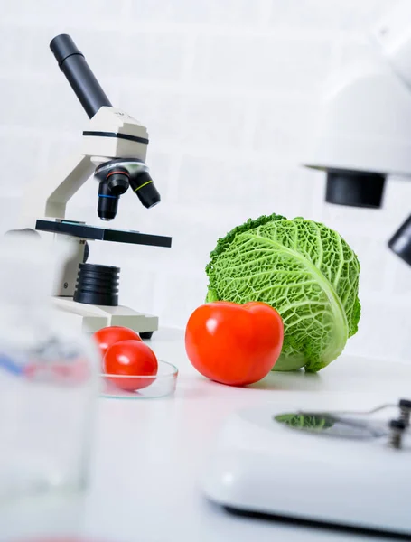 Genetic Breeding Vegetables Llaboratory Analyzing Food Quality — Stock Photo, Image