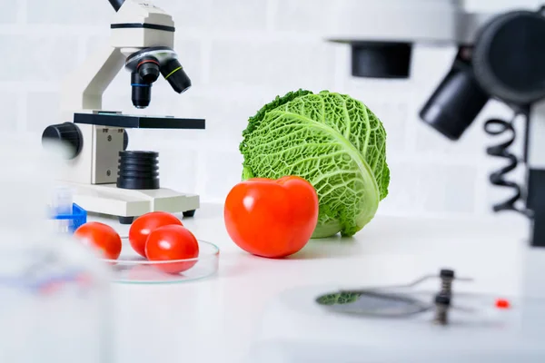 Elevage Génétique Légumes Laboratoire Analyse Qualité Des Aliments — Photo