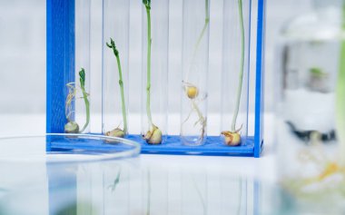Bitki ıslahı yeni yöntemler keşfetmek ekoloji Laboratuvarı