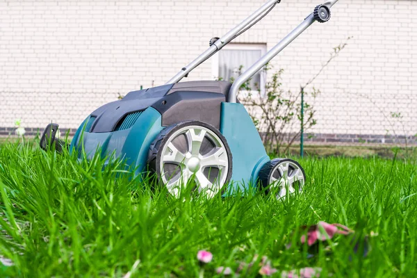 Vertikutierungsarbeiten im Garten. — Stockfoto