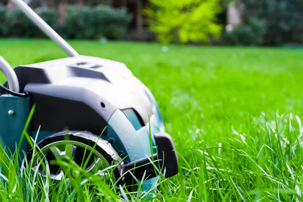 Vertikutierungsarbeiten im Garten — Stockfoto