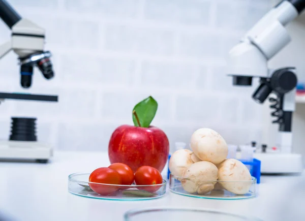 Laboratorio Químico de la Alimentación. Alimentos en laboratorio, ADN —  Fotos de Stock