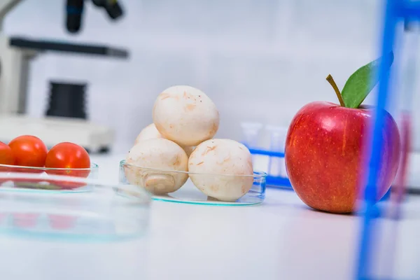 Chemical Laboratory of the Food supply . Food in laboratory, dna — Stock Photo, Image