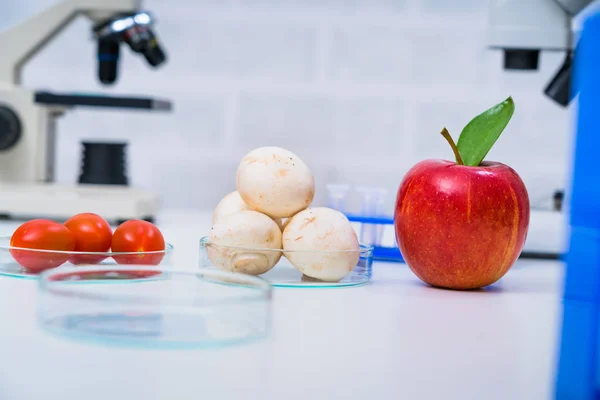 Chemisch laboratorium voor de voedselvoorziening. Voedsel in laboratorium, dna — Stockfoto