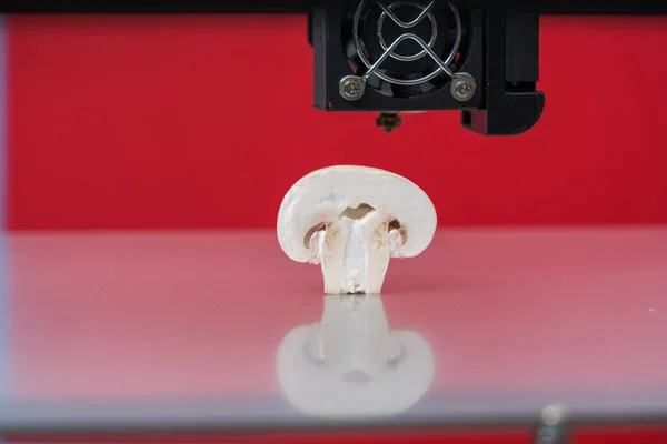 Champiñones (champiñón) en una impresora 3D.Impresión 3D orgánica — Foto de Stock