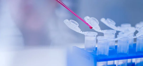 食品品質の研究室。遺伝子を検査する細胞培養アッセイ — ストック写真