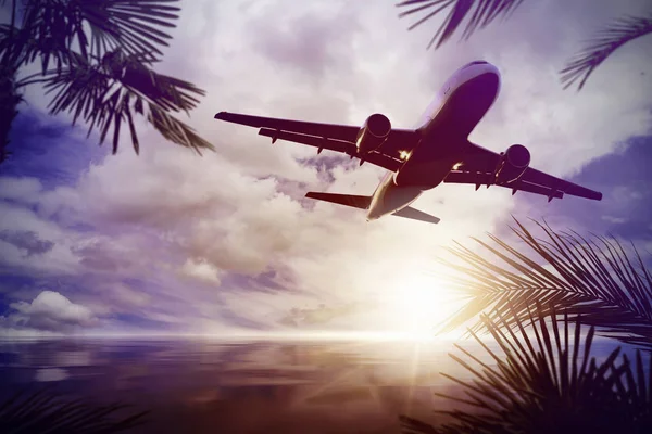 Samolot Leciał Nad Spokojny Ocean Wspaniały Zachód Słońca Sceny Palm — Zdjęcie stockowe