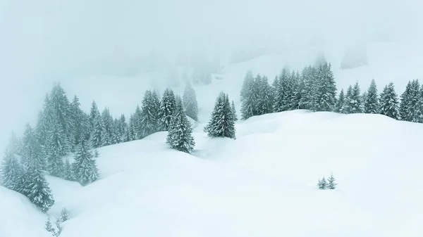 Paisaje Invernal Malhumorado Árboles Cubiertos Nieve Niebla —  Fotos de Stock