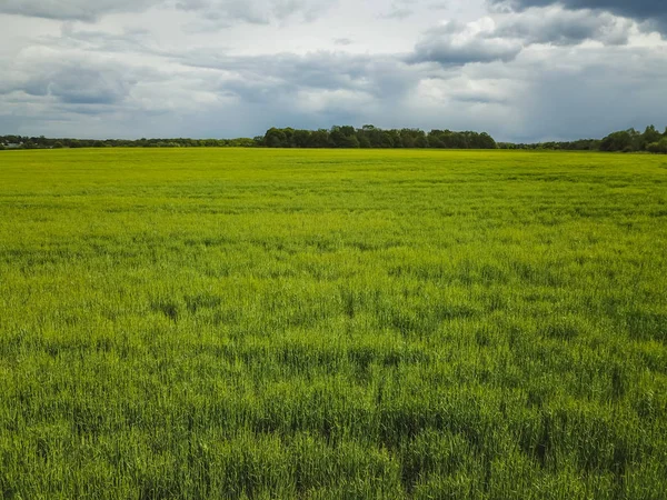 Luchtfoto groen veld — Stockfoto