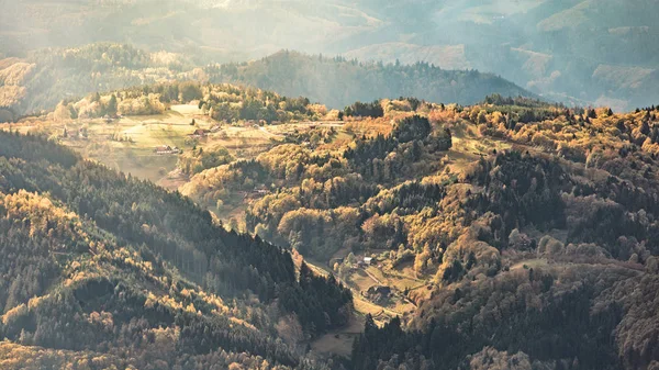 Zwarte Woud Zuid Duitsland — Stockfoto