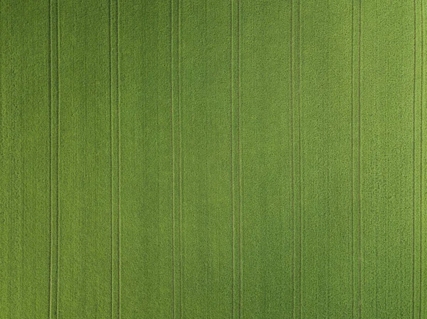 Aérea de campo verde — Fotografia de Stock