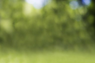 Arka plan yeşil bokeh abstract, doğa arka plan bulanıklık