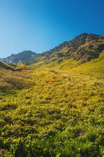 Bellissimo Paesaggio Montano Cielo Blu All Aperto — Foto Stock