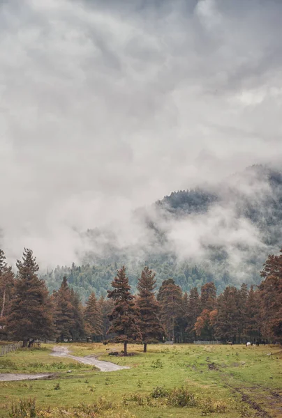Düstere Landschaft Mit Bergen Wolken Und Wald Freien — kostenloses Stockfoto