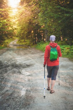 Kadın hiker ormanda yürüyüş sopa ile. Geri poz. Turizm kavramı