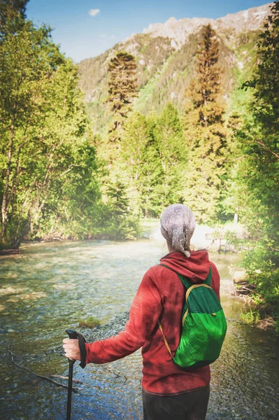 Kadın hiker ormanda yürüyüş sopa ile. Geri poz. Turizm kavramı