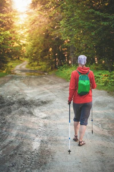 Kadın hiker ormanda yürüyüş sopa ile. Geri poz. Turizm kavramı