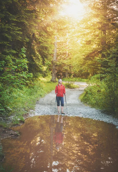 女性ハイカー棒森を歩きます 観光コンセプト — ストック写真