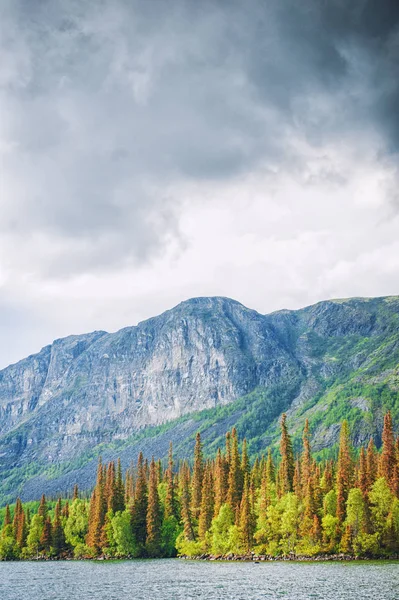 Peisaj Frumos Pădure Lanț Montan Nori — Fotografie de stoc gratuită