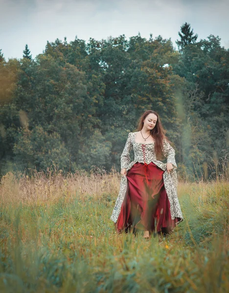 Schöne Mädchen Langen Mittelalterlichen Kleid Fuß Auf Der Sommerwiese Freien — Stockfoto