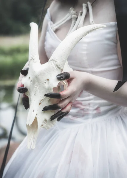 Zwierzęca Czaszka Rękach Creepy Żyje Panna Młoda Koncepcja Halloween — Zdjęcie stockowe