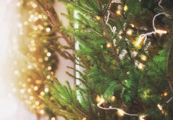 抽象圣诞节背景与绿色冷杉树和灯 — 图库照片