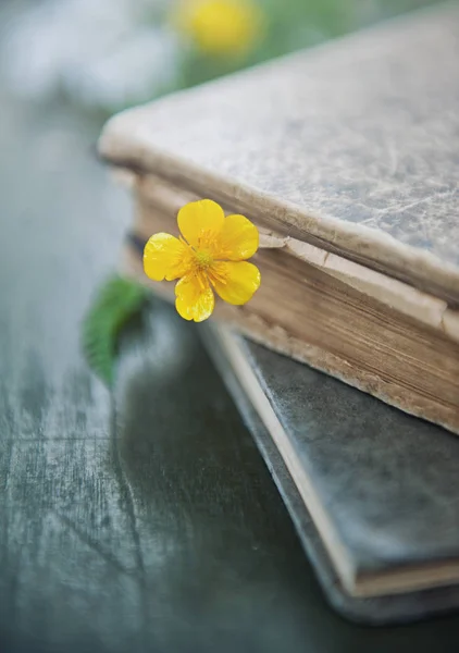 Vintage Könyvek Régi Fából Készült Háttér Rét Sárga Virág — Stock Fotó