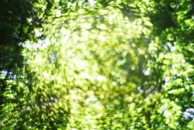 Sunlight ile soyut bulanık yaz arkaplanı