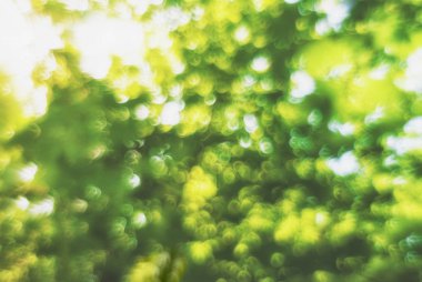 Sunlight ile soyut bulanık yaz arkaplanı