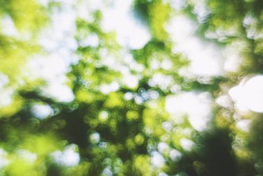 Sunlight ile soyut bulanık yaz arkaplanı