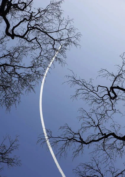 След летящего самолета в ясном голубом небе и ветвях деревьев — стоковое фото